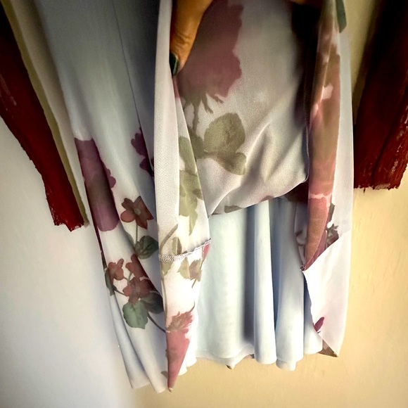 Kimchi Blue Mesh and Lace Minidress - Picture 4 of 6